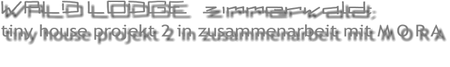 WALD LODGE  zimmerwald; tiny house projekt 2 in zusammenarbeit mit M O R A